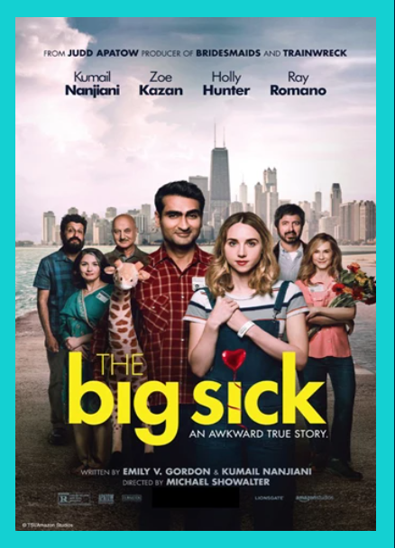 movie poster for the big sick