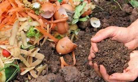 photo of hands holding compost 